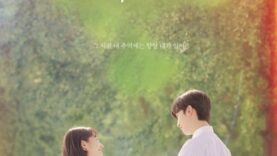 ALoveSoBeautiful-Poster01
