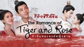 series-the-romance-of-tiger-and-rose