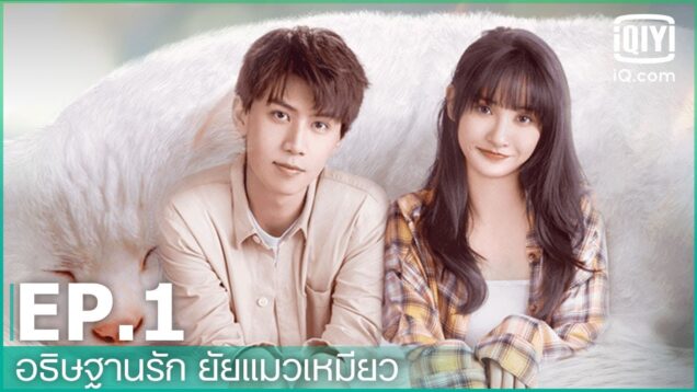 อธิษฐานรัก ยัยแมวเหมียว