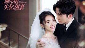 Master Gu’s Amnesia Sweet Wife