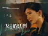 Lady-of-Law-Chinese-Drama