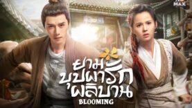 blooming